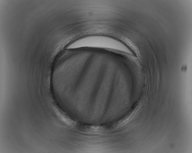 X0000091960493200709271349