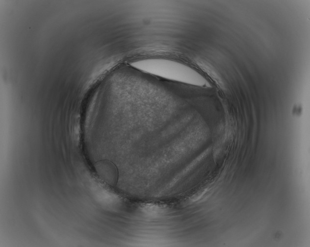 X0000091960494200709271349