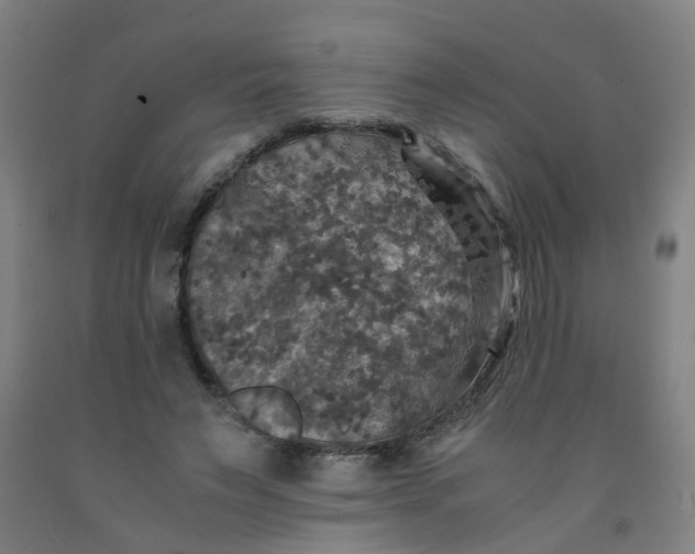 X0000091960495200709271349