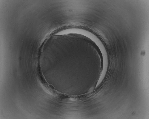 X0000091960496200709271349