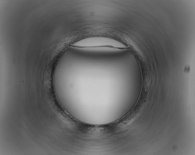 X0000091960497200709271349