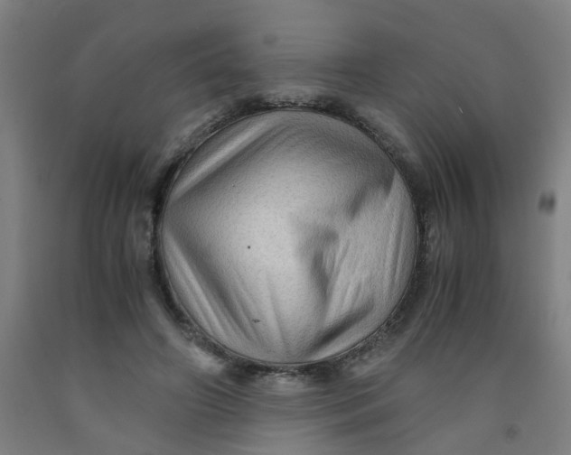 X0000091960498200709271349