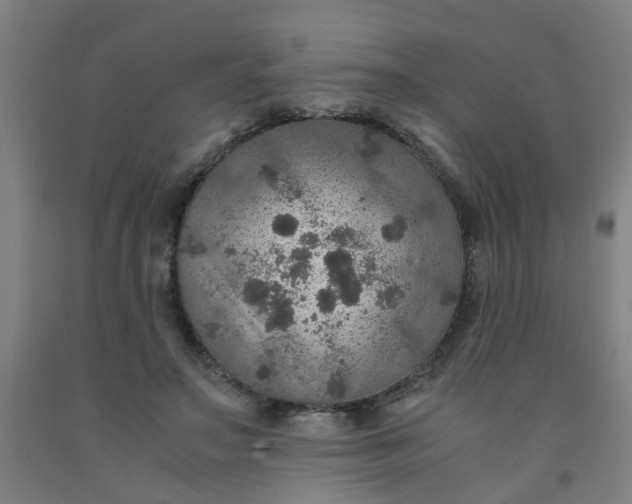 X0000091960499200709271349