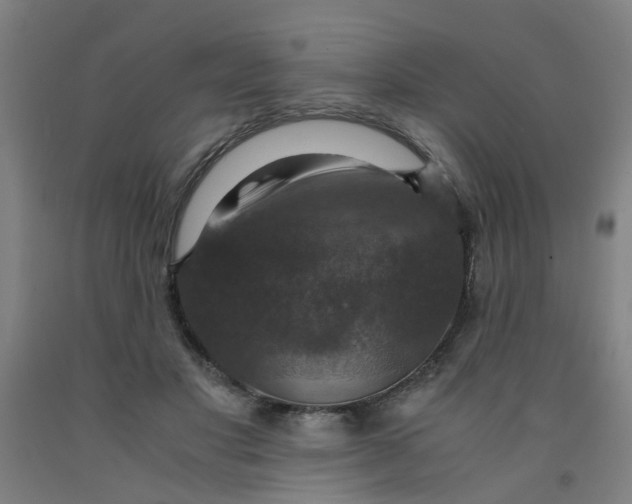 X0000091960501200709271349