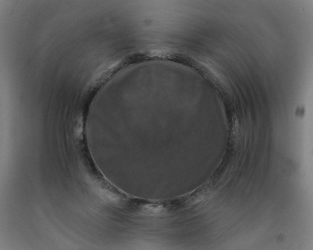 X0000091960502200709271349