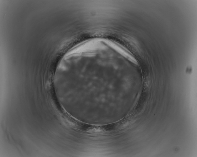 X0000091960503200709271349