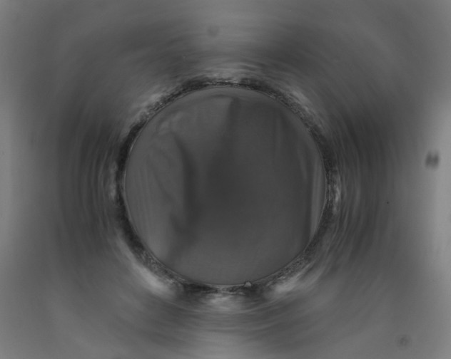 X0000091960504200709271349