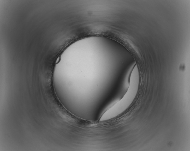 X0000091960505200709271349