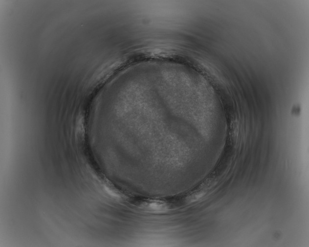 X0000091960506200709271349