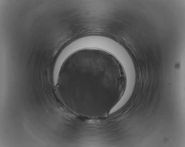 X0000091960508200709271349