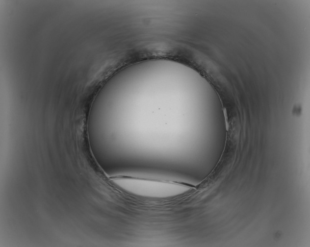 X0000091960509200709271349