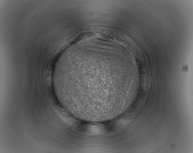 X0000091960510200709271349