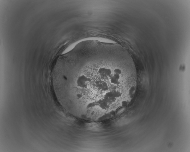 X0000091960511200709271349