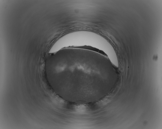 X0000091960513200709271349