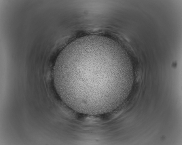 X0000091960515200709271349