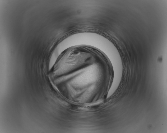 X0000091960516200709271349