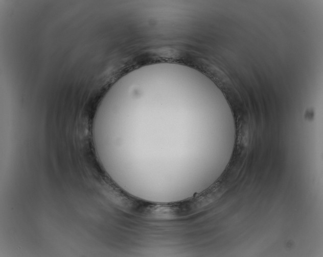 X0000091960518200709271349