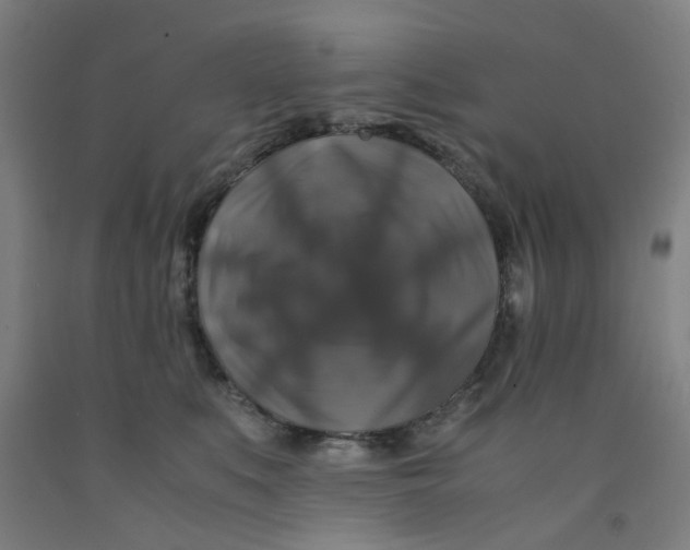 X0000091960519200709271349