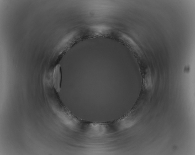 X0000091960520200709271349