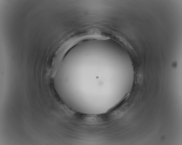 X0000091960521200709271349