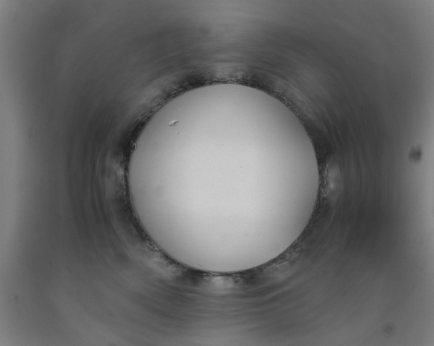 X0000091960522200709271349