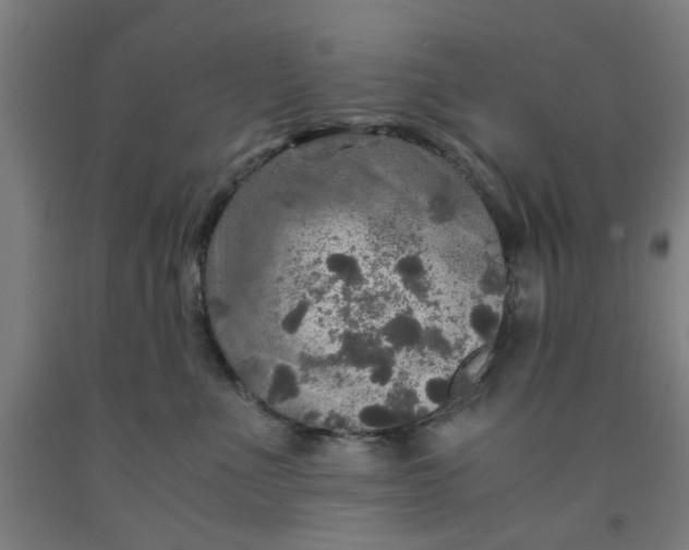 X0000091960523200709271349