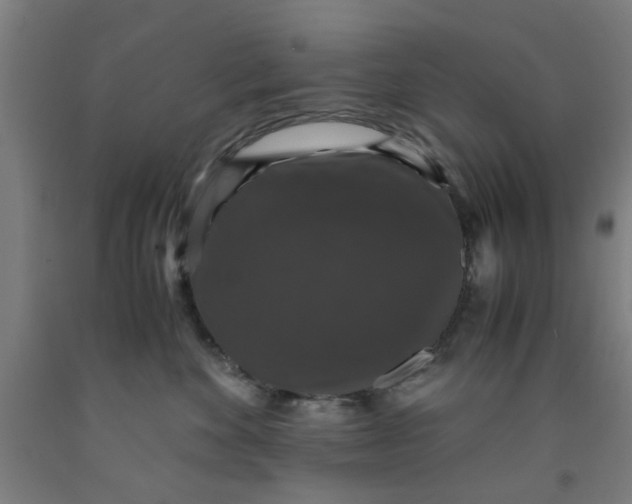 X0000091960524200709271349