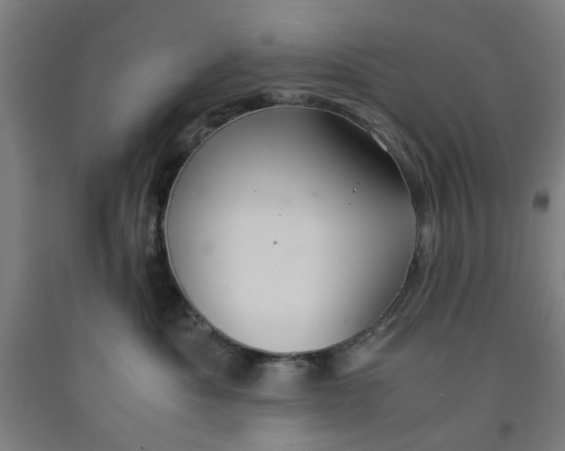 X0000091960525200709271349