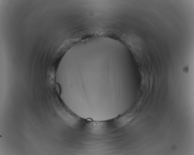 X0000091960526200709271349