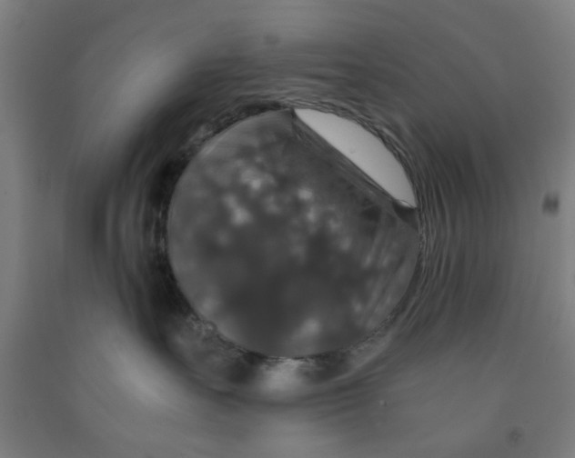 X0000091960527200709271349