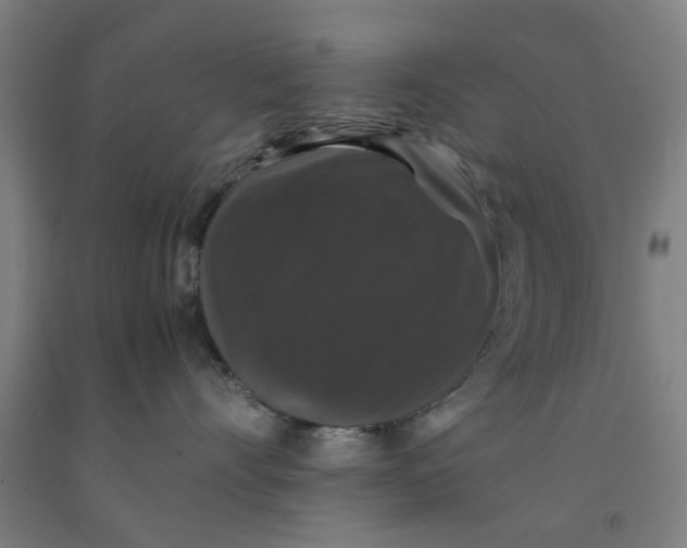 X0000091960528200709271349