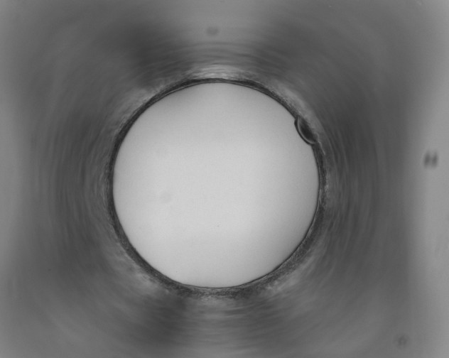 X0000091960529200709271348