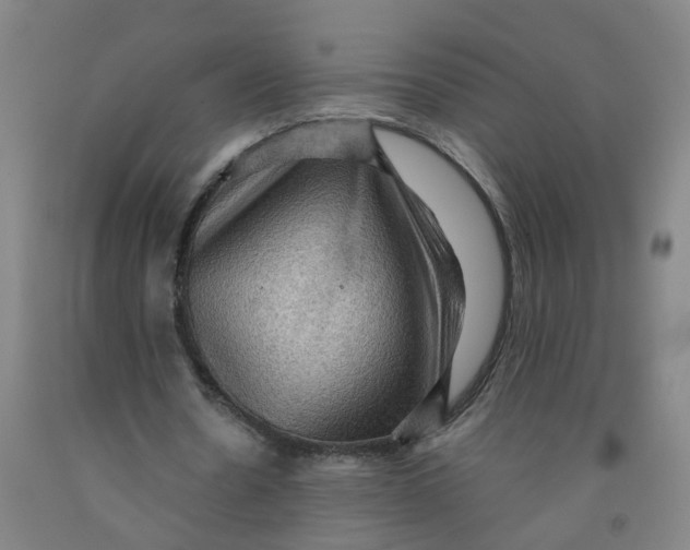 X0000091960530200709271348