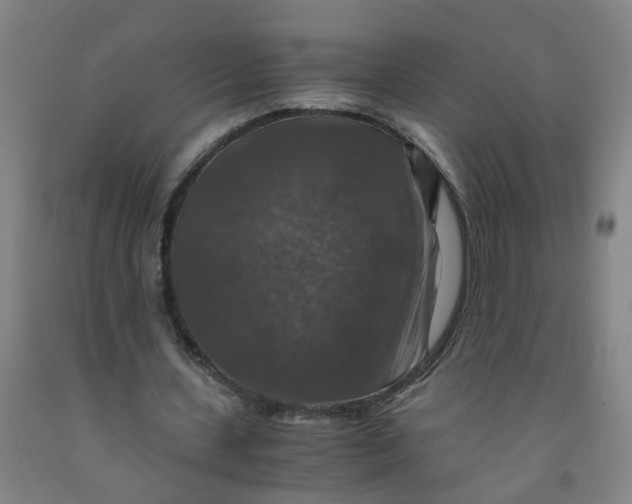 X0000091960531200709271348