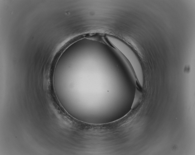 X0000091960532200709271348