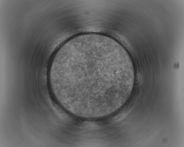 X0000091960534200709271348