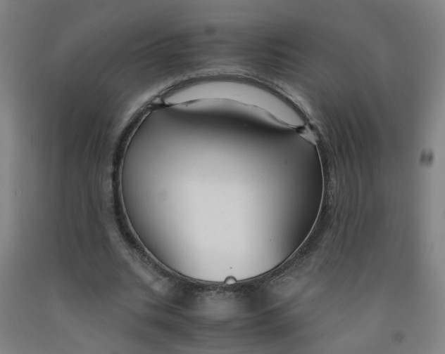 X0000091960535200709271348