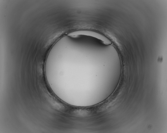 X0000091960537200709271348