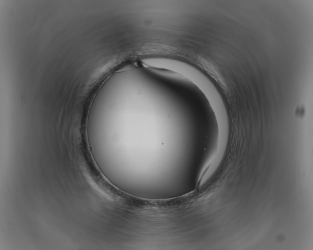 X0000091960538200709271348