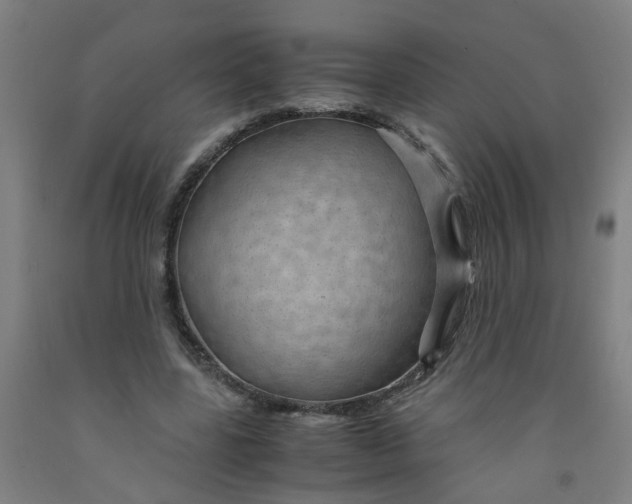 X0000091960539200709271348