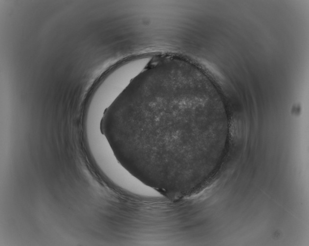 X0000091960540200709271348