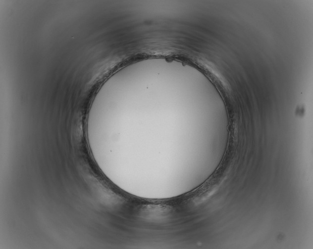 X0000091960541200709271348