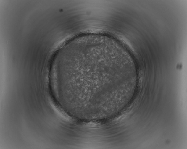 X0000091960542200709271348