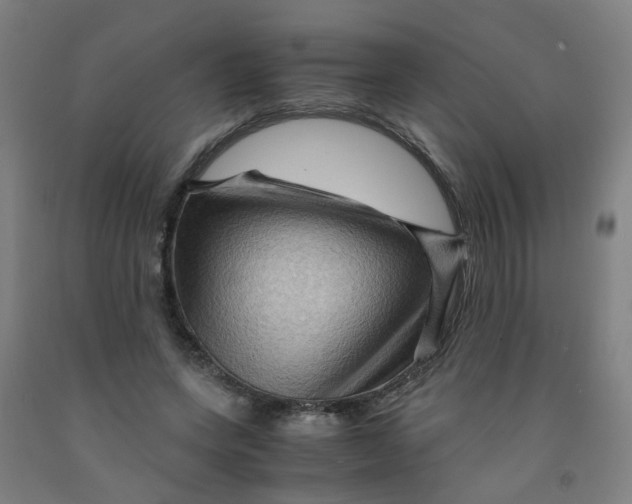 X0000091960543200709271348