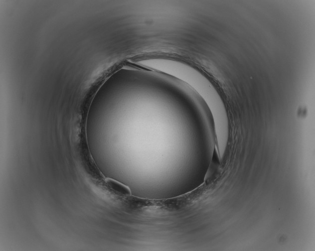 X0000091960544200709271348