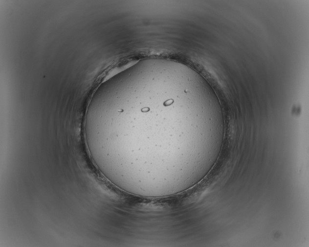 X0000091960545200709271348