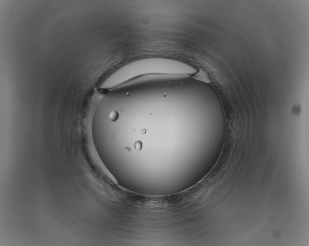 X0000091960546200709271348