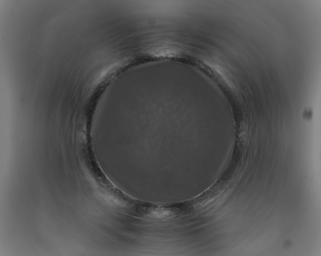 X0000091960547200709271348