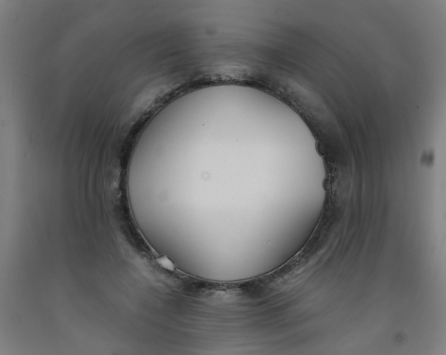 X0000091960548200709271348