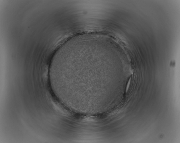 X0000091960550200709271348